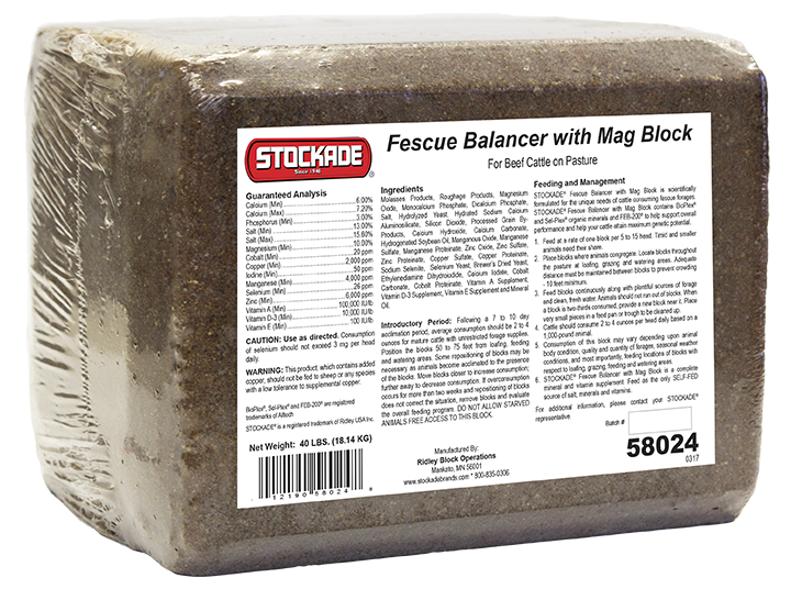 Fescue Balancer with Mag Block