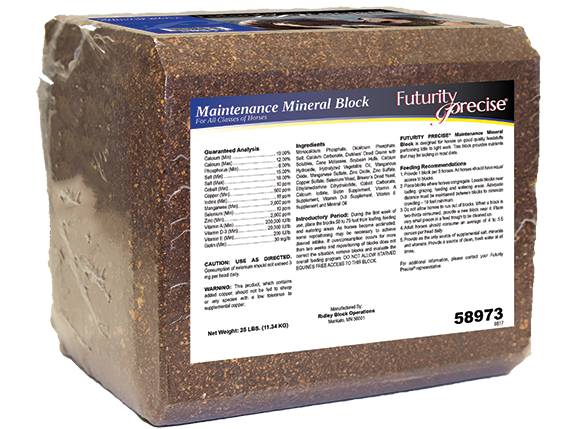 Futurity Precise® Maintenance Mineral Block