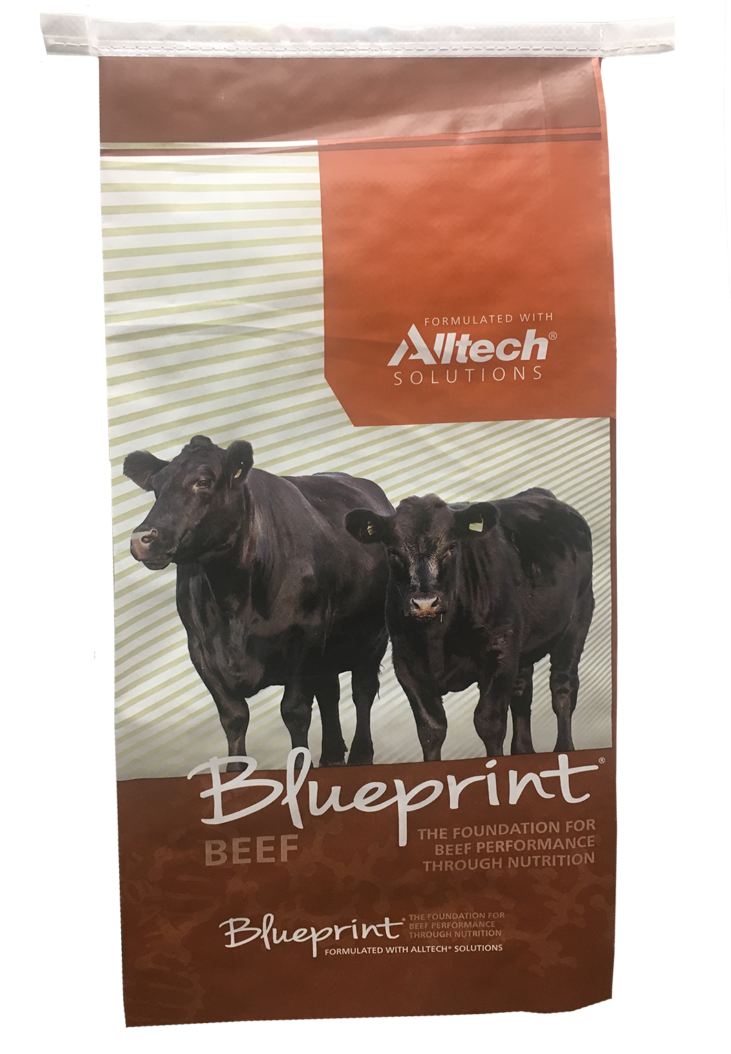 Blueprint® Fescue FEB-200™ Mineral