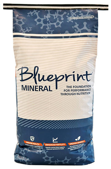 Blueprint® High Mag Mineral