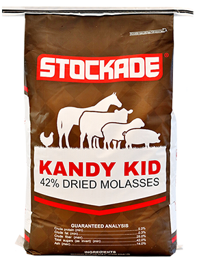 Kandy Kid 42% Dried Molasses