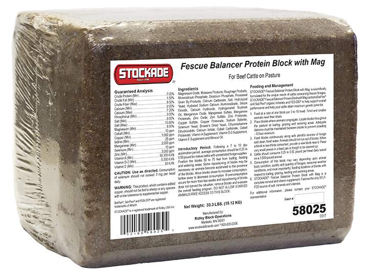 Fescue Balancer Protein Block with Mag